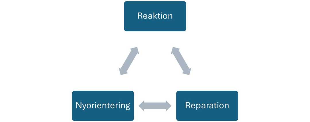 DK2025_11_forandringen